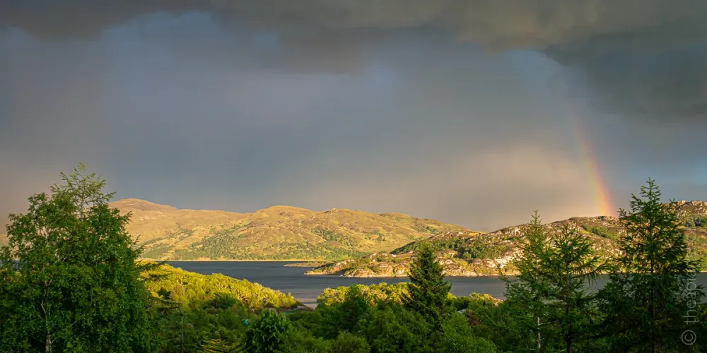 Lochaber Bees & Honey