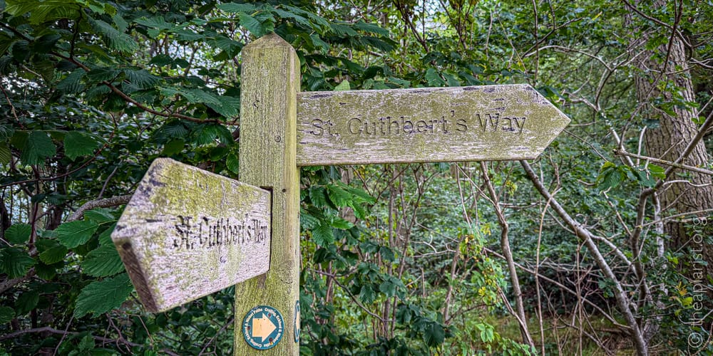 St Cuthbert's Way Honey